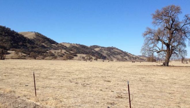 Colorado Entities Utilize Various Money-For-Water Programs in Attempts to Mitigate Drought, Protect Existing Water Rights