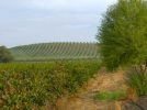California Department of Water Resources Releases Final Land Subsidence Best Management Practices: Key Regulatory Shifts and Liability Expansions for Groundwater Sustainability Agencies