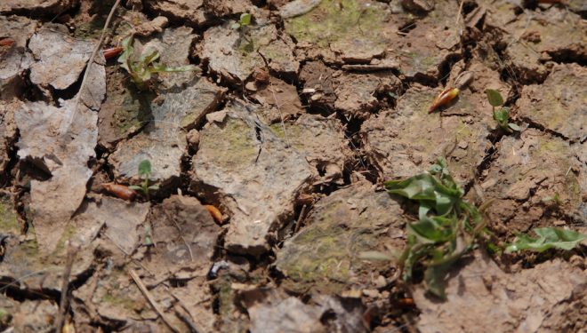 California State Water Resources Control Board Proposes Emergency Regulations for Russian River Watershed