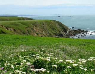California Court of Appeal Finds Certified Local Coastal Plan, Not the Coastal Act Regulation, Governs City’s Coastal Development of Housing Facility