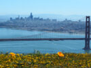 State Water Resources Control Board Releases Revised Draft Bay-Delta Plan Update