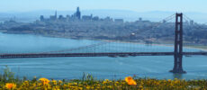 State Water Resources Control Board Releases Revised Draft Bay-Delta Plan Update